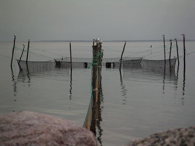 20041003_17-59-33.jpg