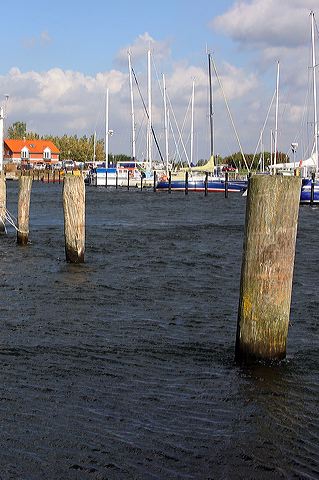 20041006_13-01-53.jpg