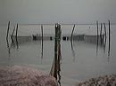 20041003_17-59-33