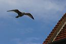 20041007_13-25-28